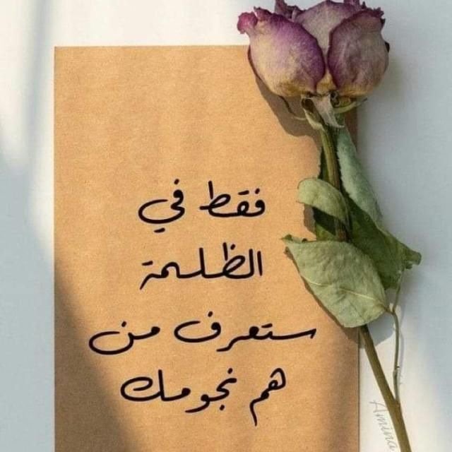 User 4